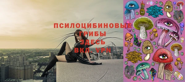 ГАЛЛЮЦИНОГЕННЫЕ ГРИБЫ Михайловка