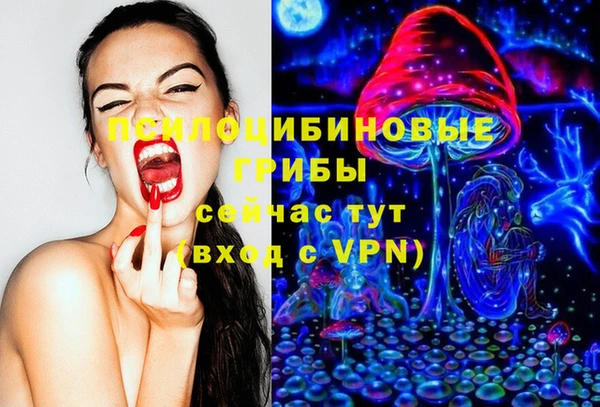герыч Сосновка