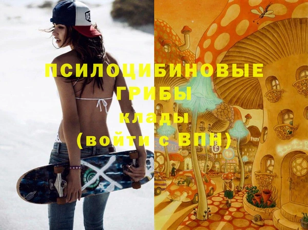 spice Сосновоборск