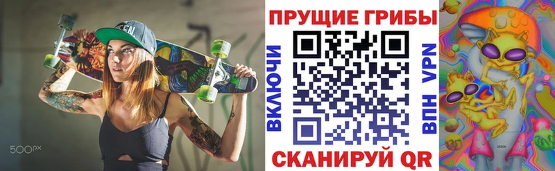 Галлюциногенные грибы ЛСД  как найти закладки  Петропавловск-Камчатский 