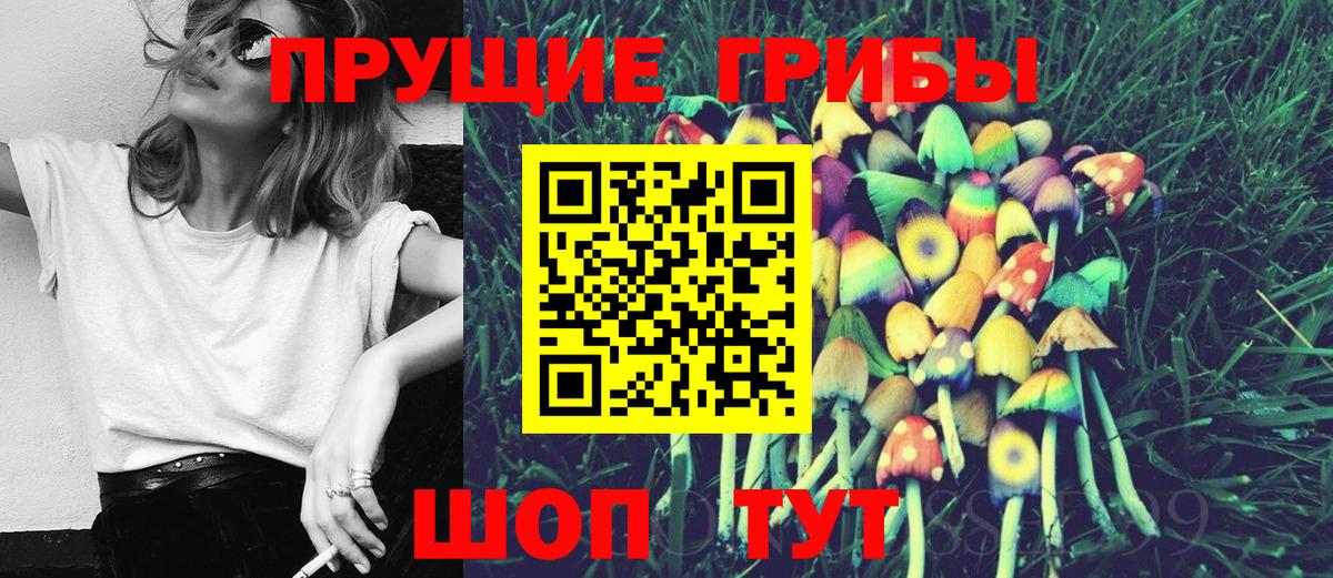 Псилоцибиновые грибы GOLDEN TEACHER  хочу   Петропавловск-Камчатский  Галлюциногенные грибы ЛСД 